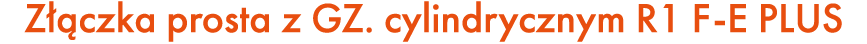 Z czka prosta z GZ. cylindrycznym R1 F E PLUS