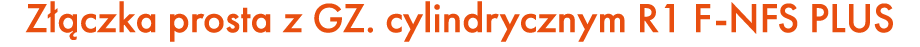 Z czka prosta z GZ. cylindrycznym R1 F NFS PLUS